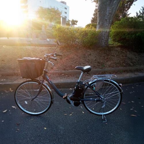 電動アシスト自転車